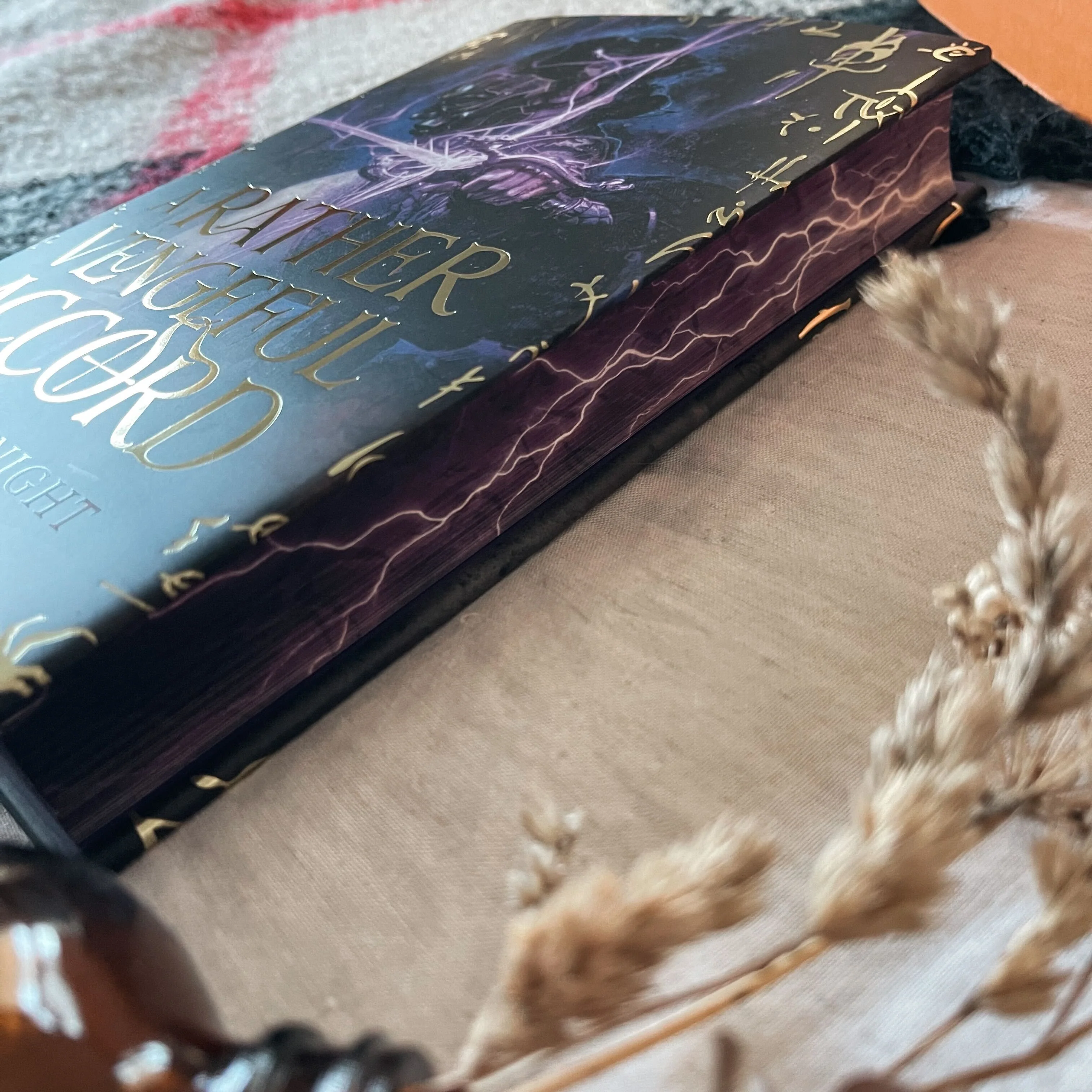 A Rather Vengeful Accord by Danielle Knight book only (Illumicrate 'Academic Rivals' Exclusive) - Image 4
