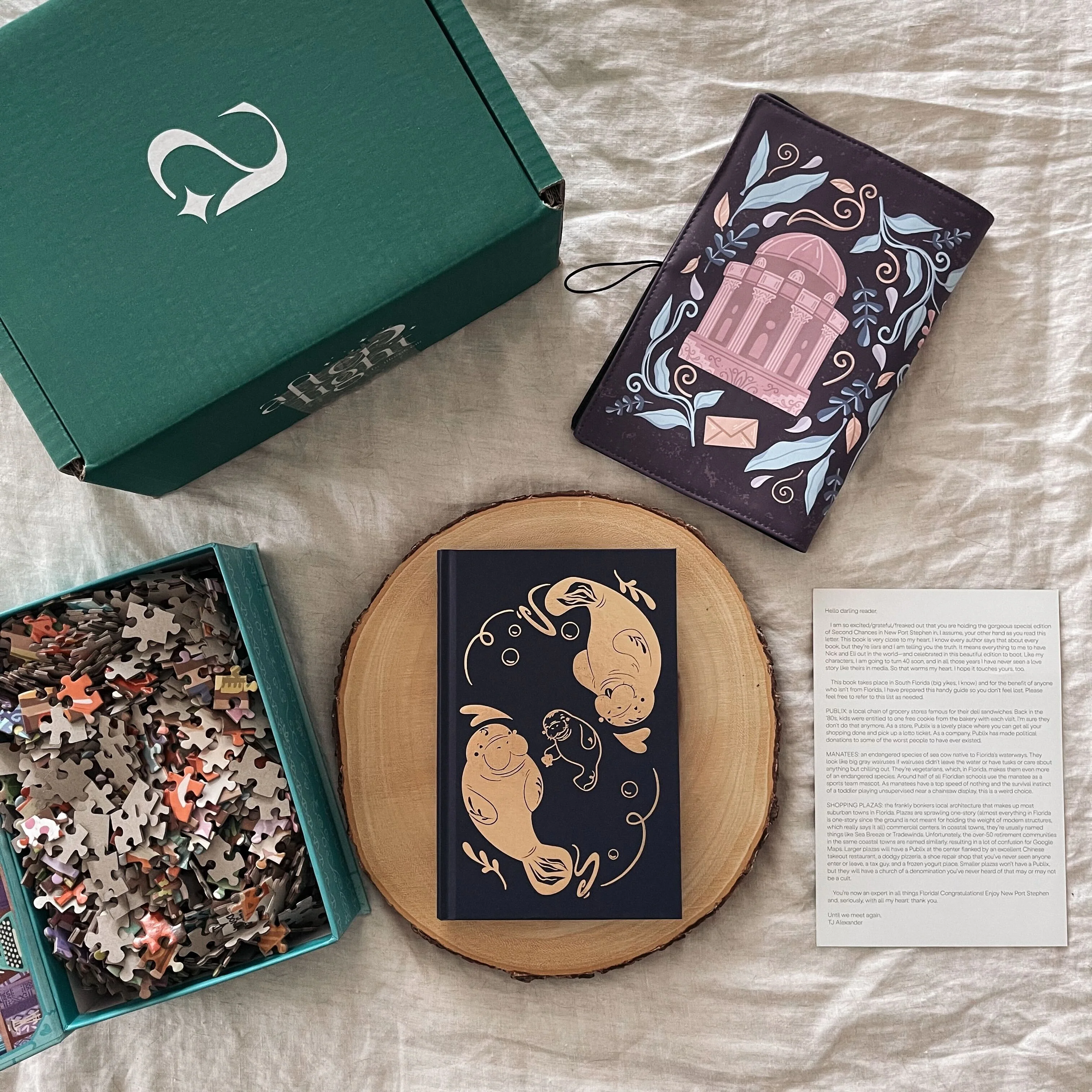 Second Chances in New Port Stephen by TJ Alexander (Afterlight November 2023 Exclusive box) - Image 2