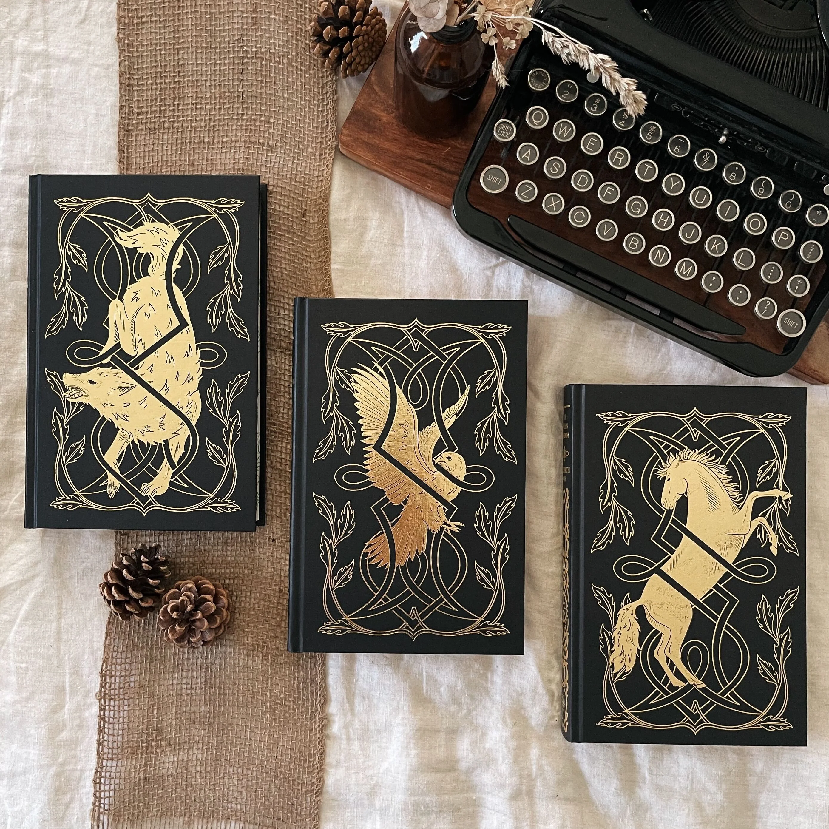 The Falconer trilogy by Elizabeth May (Illumicrate Exclusive) - Image 2