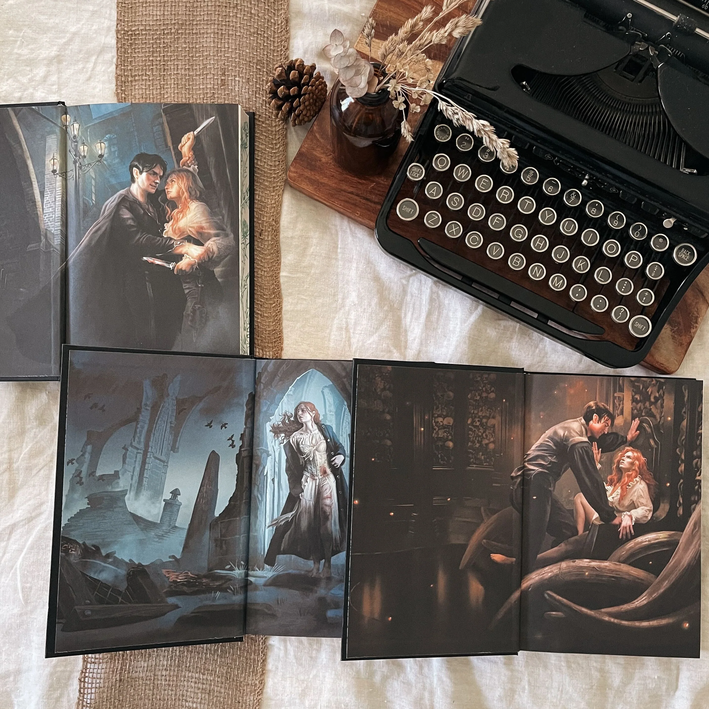 The Falconer trilogy by Elizabeth May (Illumicrate Exclusive) - Image 3