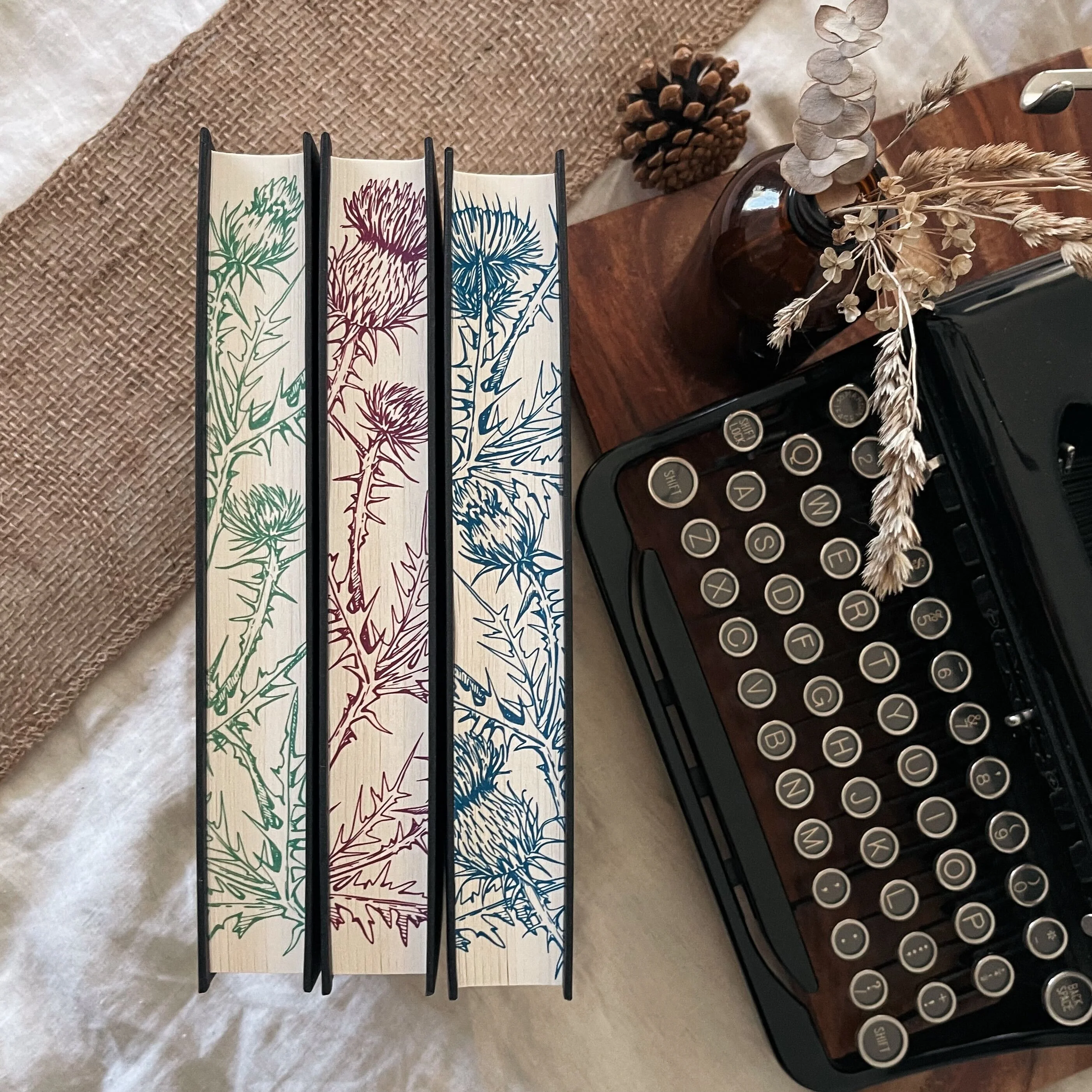 The Falconer trilogy by Elizabeth May (Illumicrate Exclusive) - Image 4