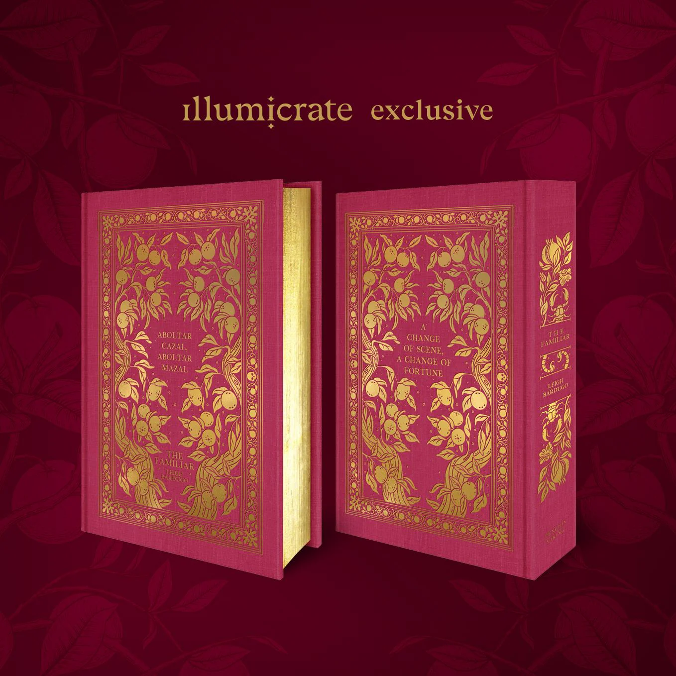 The Familiar by Leigh Bardugo (Illumicrate Exclusive) - Image 4