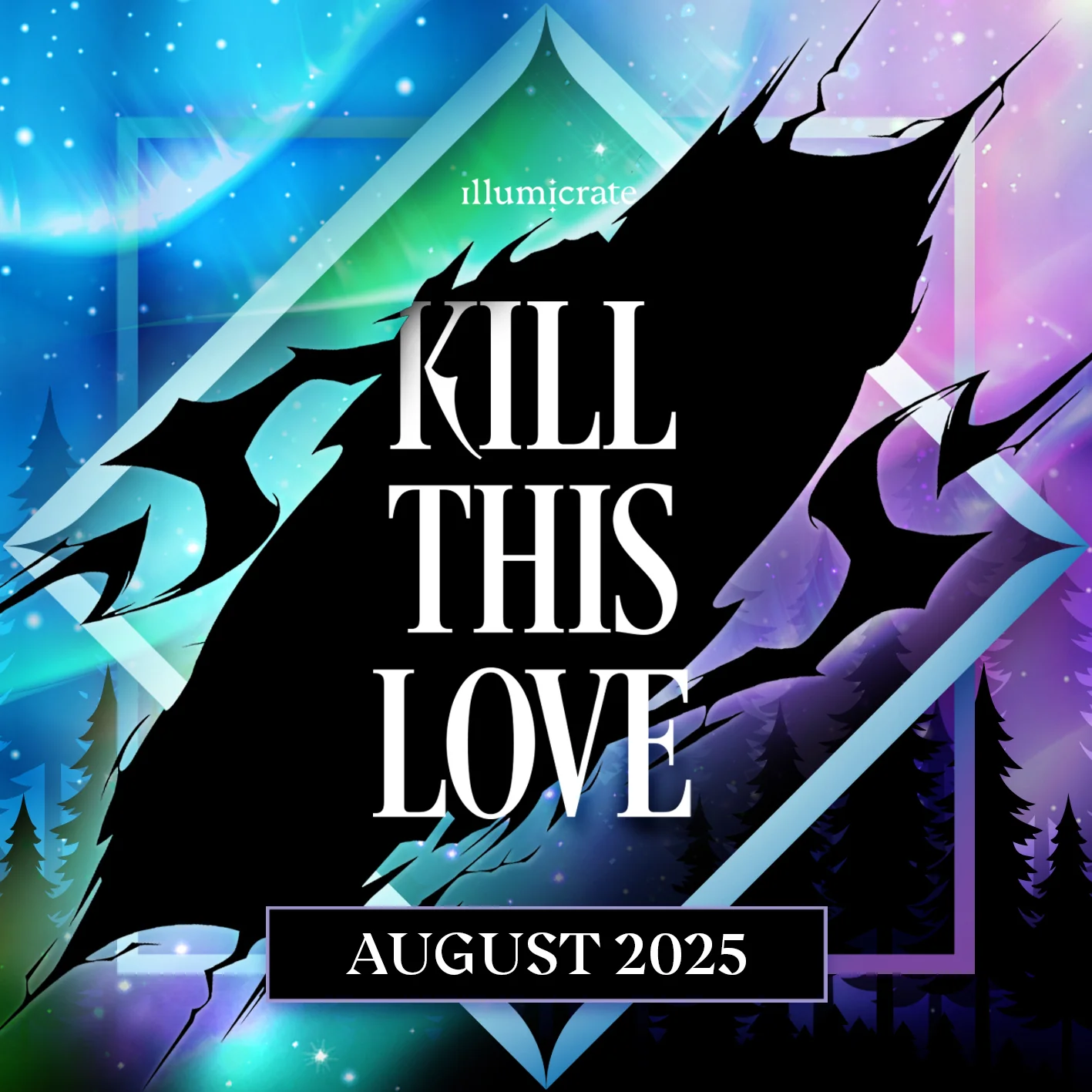 Voidwalker by S.A. MacLean full box (Illumicrate 'Kill This Love' Exclusive) - Image 3